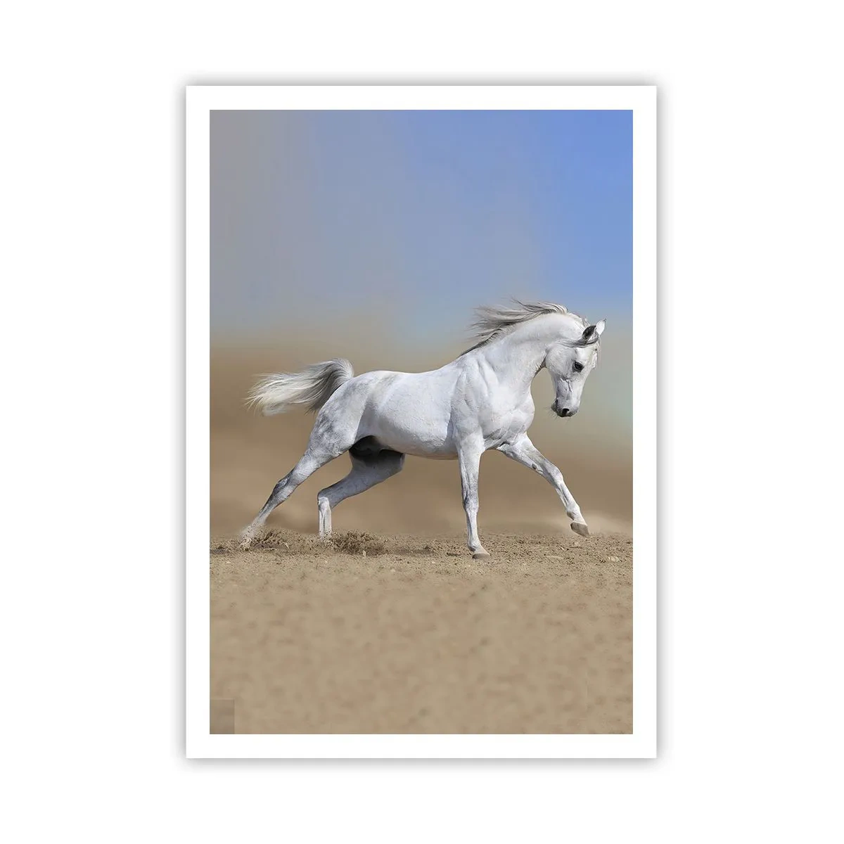 Poster - Het mooiste Arabische sprookje - 70x100 cm