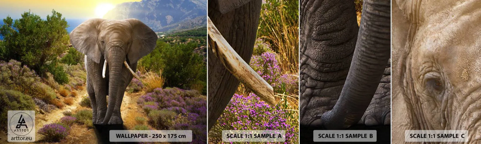 Fotobehang Monster Zelfklevend Deluxe Sticker - Zo zag Eden eruit - Dieren, Olifant, Safari - 100x30 cm