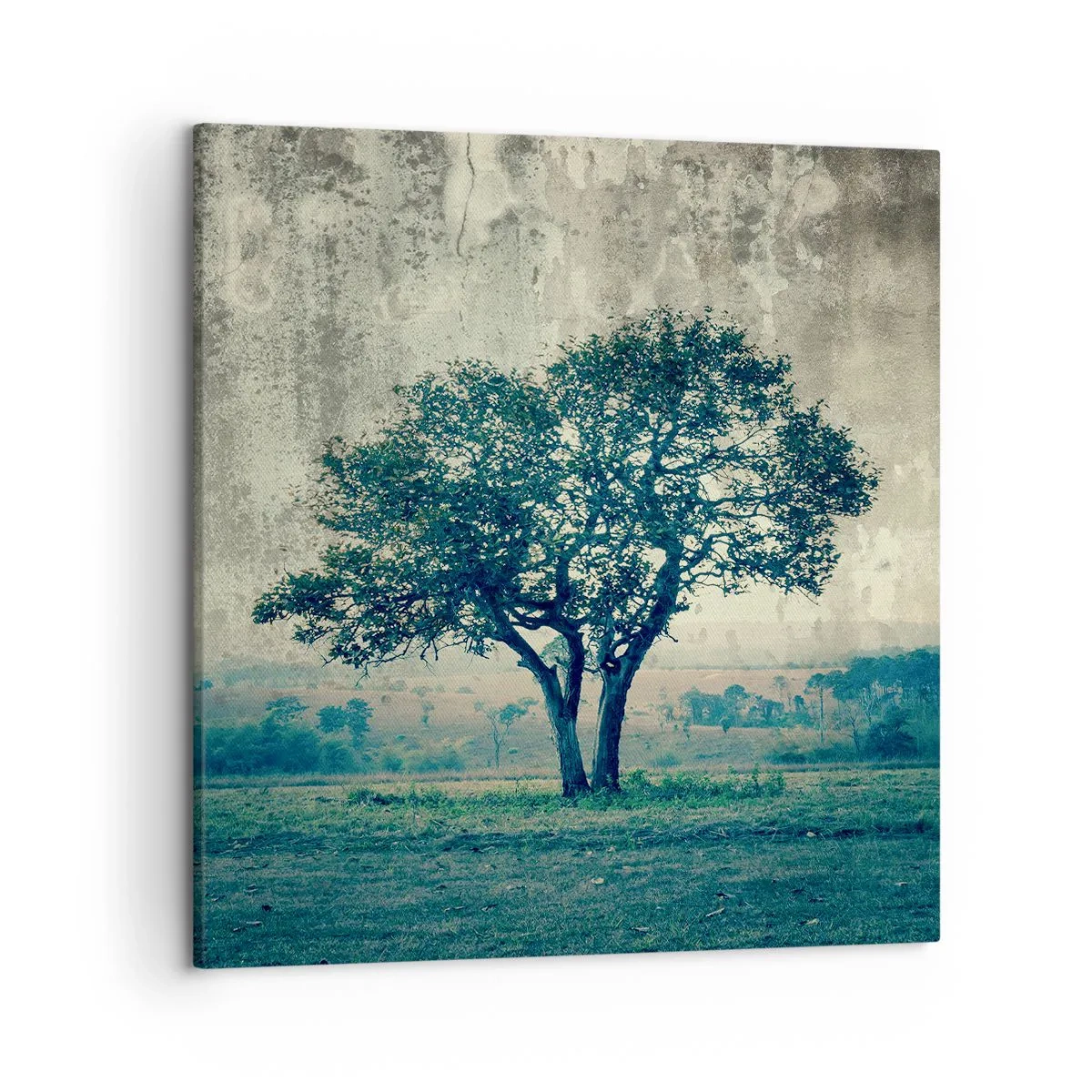 Schilderen op canvas - Een appelboom op een blauw veld? - 50x50 cm