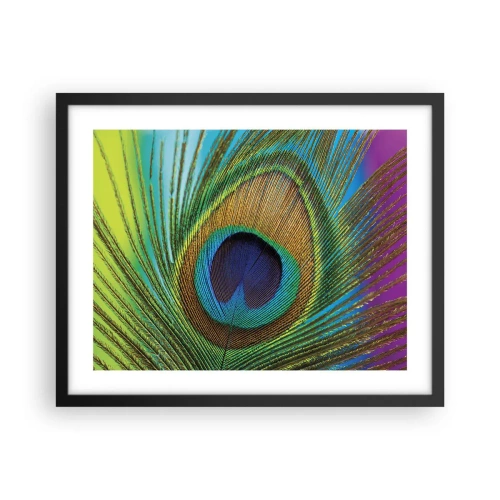 Poster in een zwarte lijst - Oog in oog - 50x40 cm