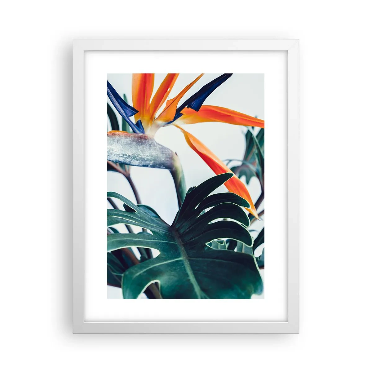 Poster in een witte lijst - Vogelstruik - 30x40 cm