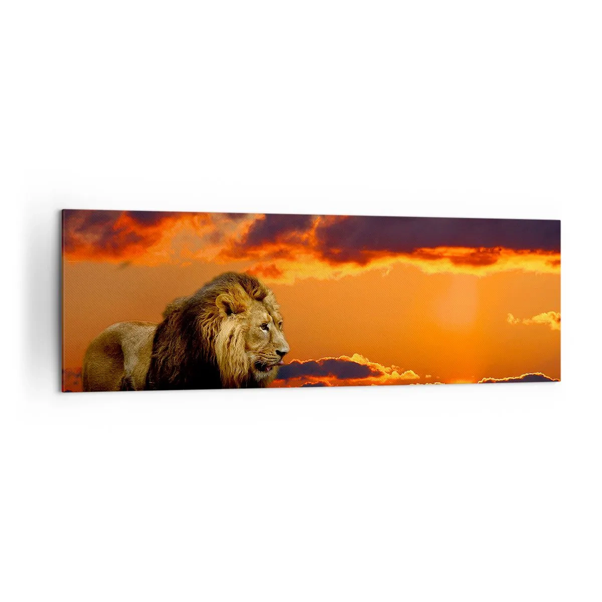 Schilderen op canvas - Koning van de natuur - 160x50 cm