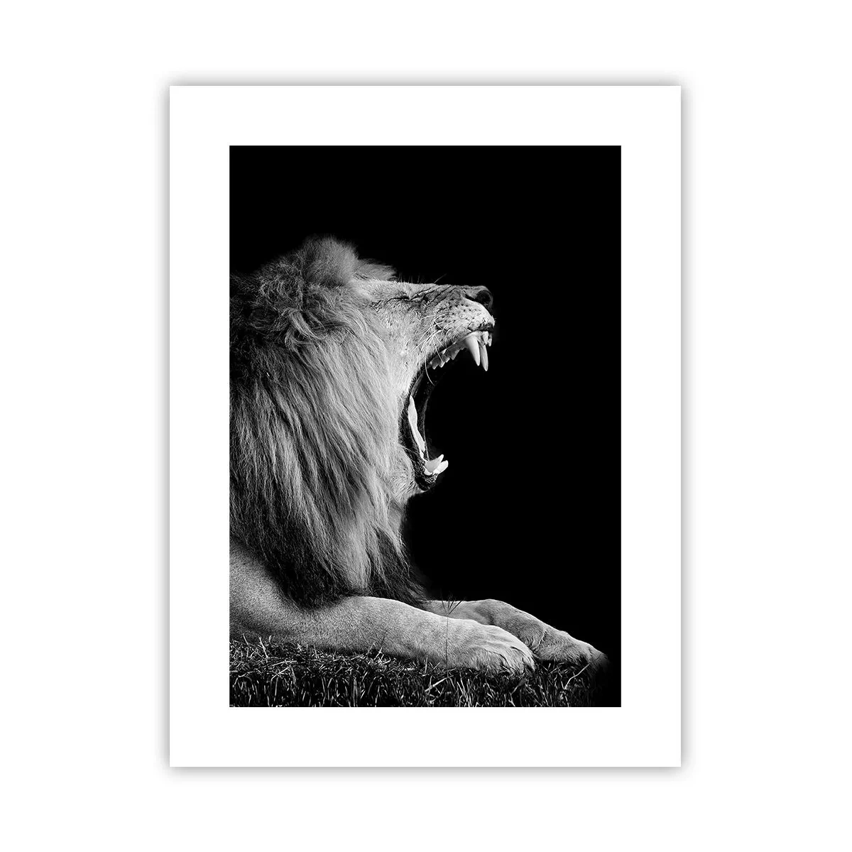 Poster - Zonder enige twijfel - 30x40 cm