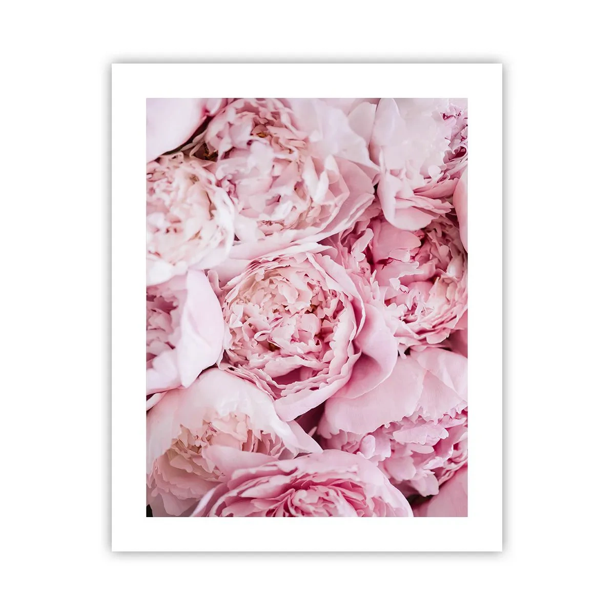 Poster - Knuffelend en geurig - 40x50 cm