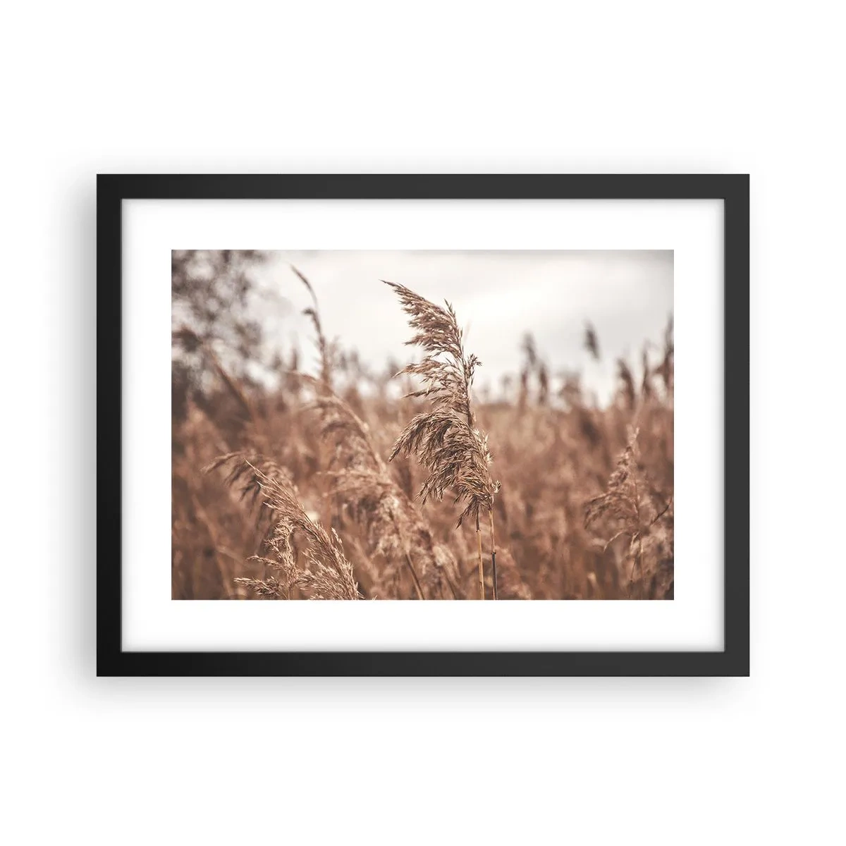 Poster in een zwarte lijst - Het is al herfst in de velden - 40x30 cm