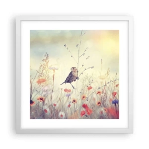 Poster in een witte lijst - Vogelportret met een weiland op de achtergrond - 40x40 cm