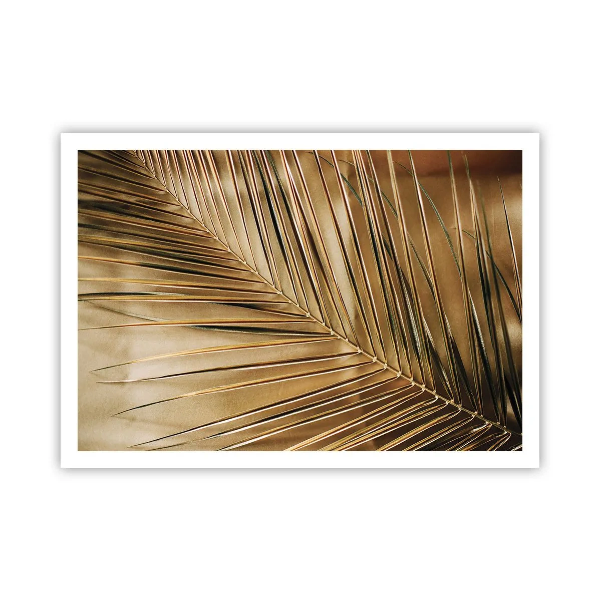 Poster - Natuurlijke zuilengalerij - 100x70 cm