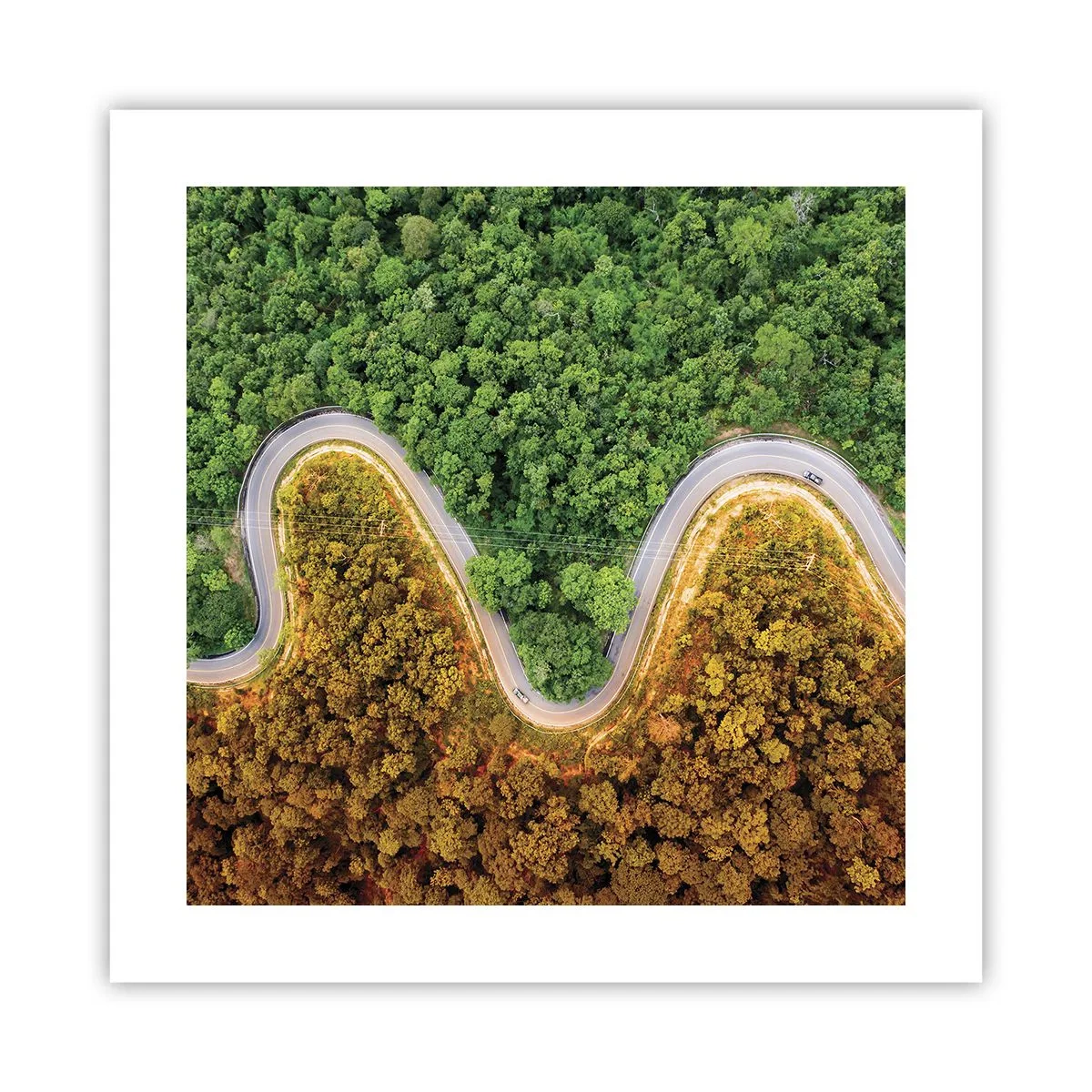 Poster - Grenzen en doorbraken - 40x40 cm