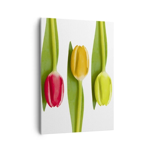 Schilderen op canvas - Regenboog compositie - 50x70 cm