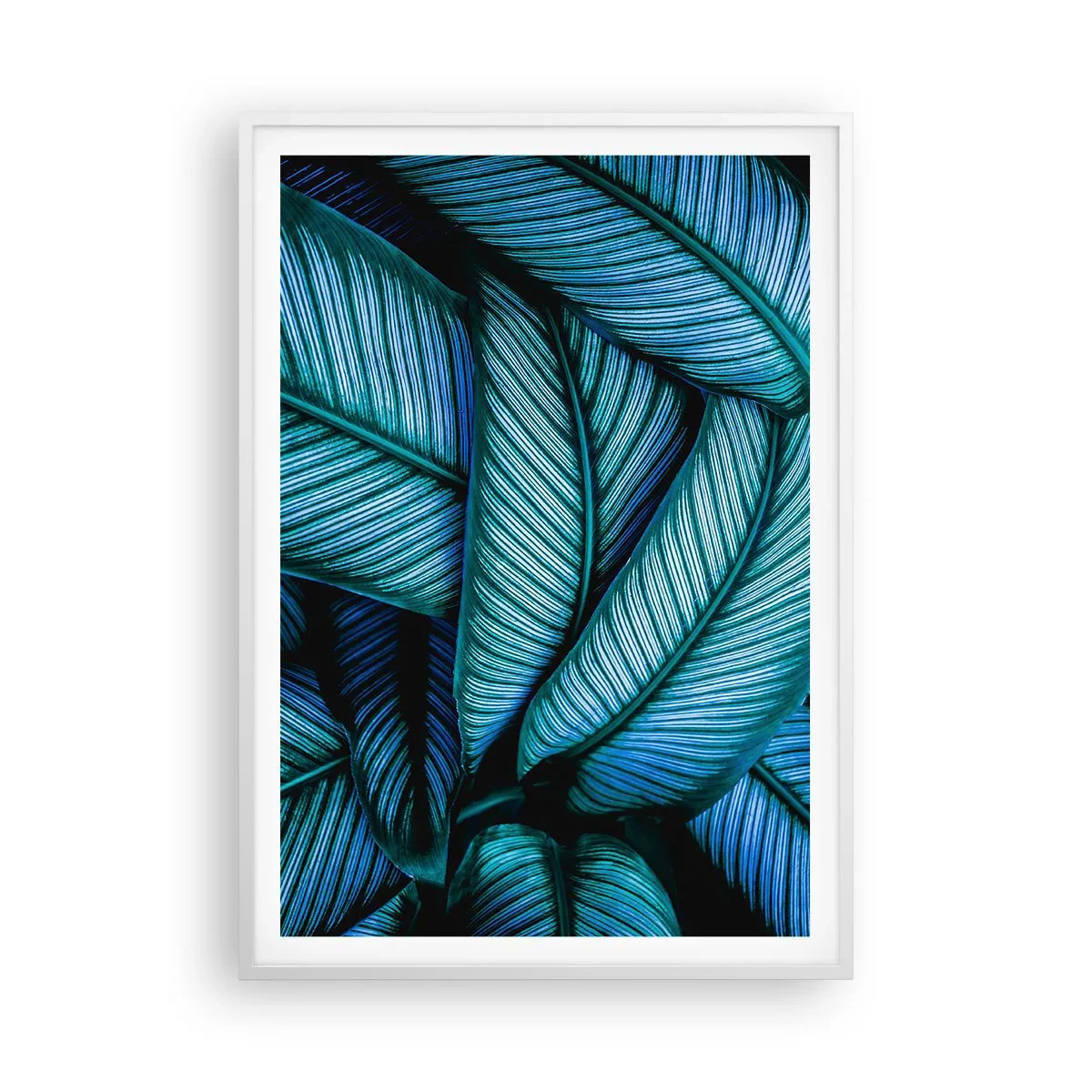 Poster in een witte lijst - Levens lijnen - 70x100 cm
