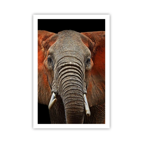 Poster - Ik ben wild, en jij? - 61x91 cm