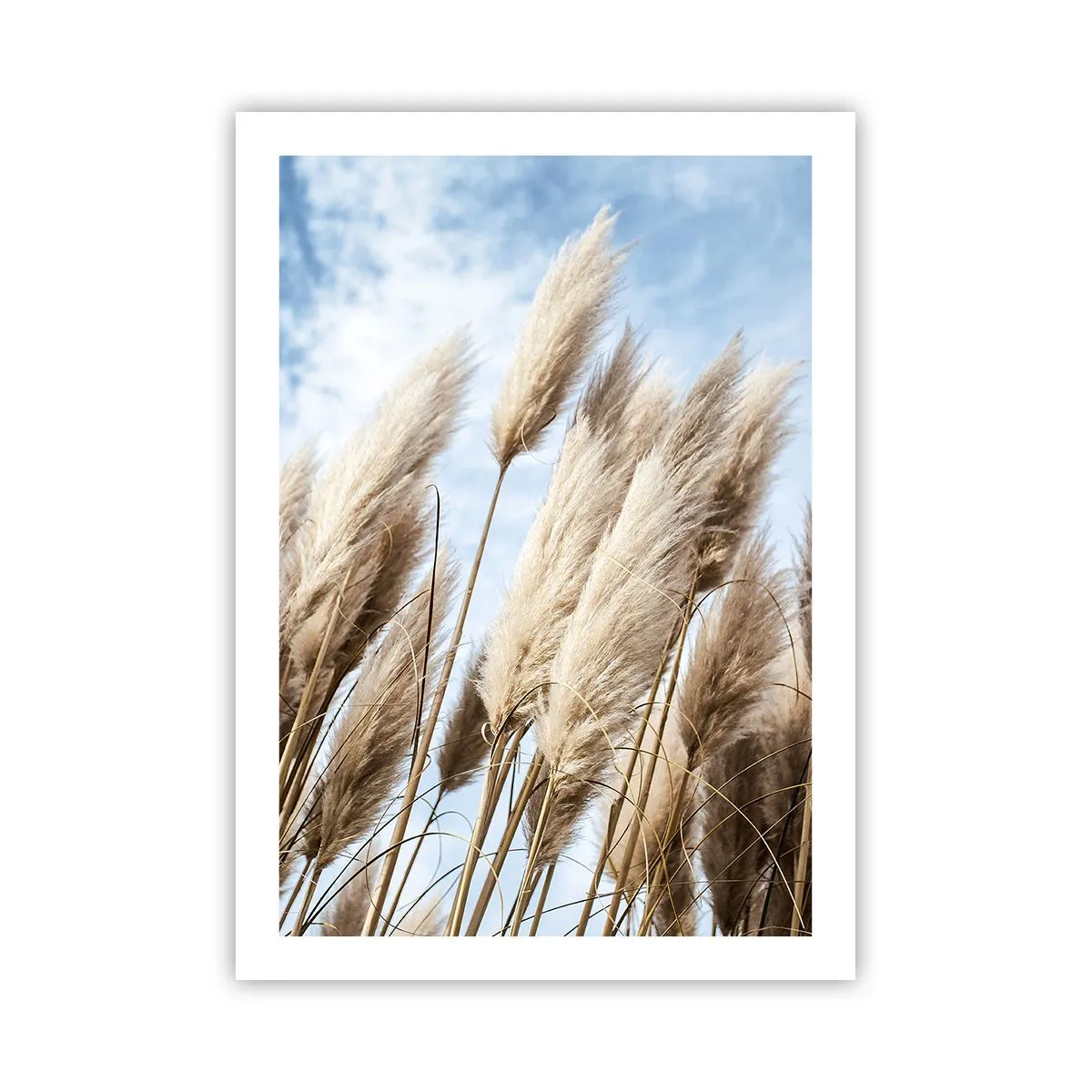 Poster - Zonnige en winderige streling - 50x70 cm