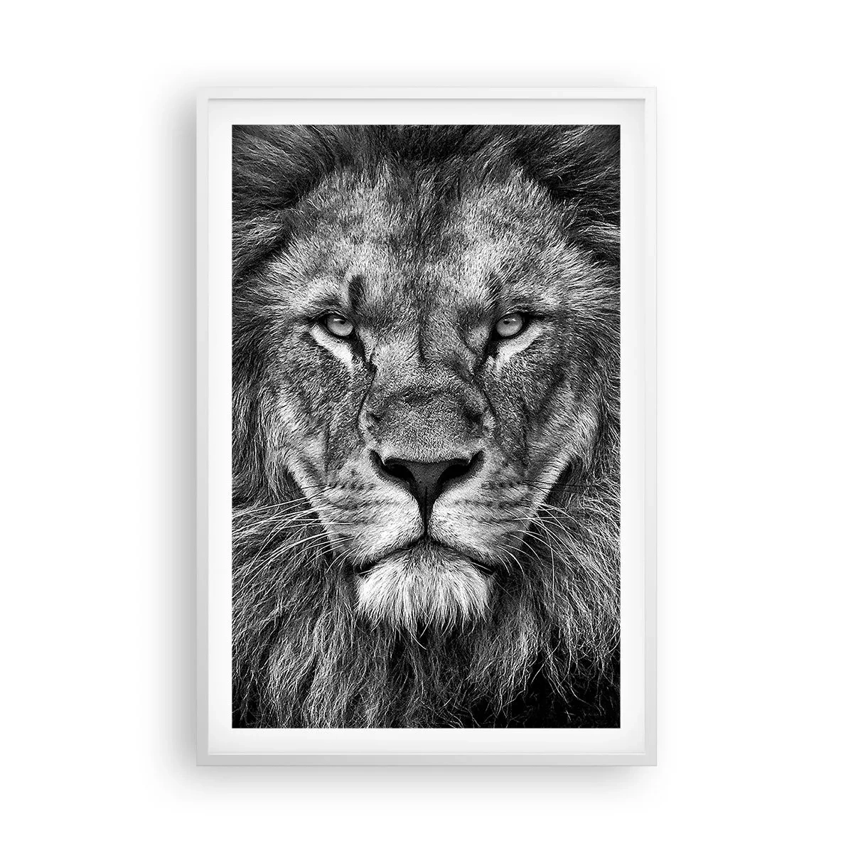 Poster in een witte lijst - In een kroningskleed - 61x91 cm