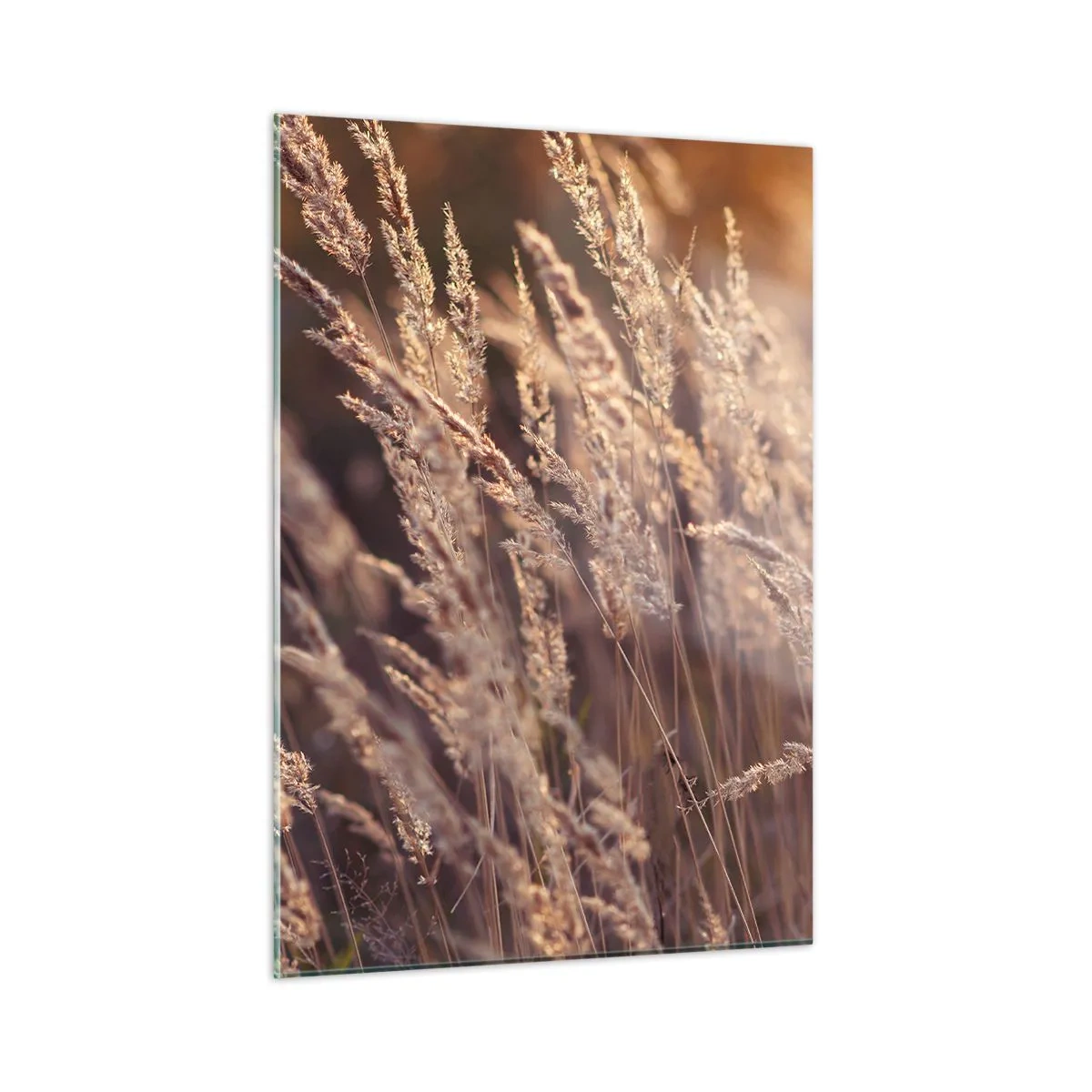 Schilderen op glas - Klaar om de herfst te verwelkomen - 50x70 cm
