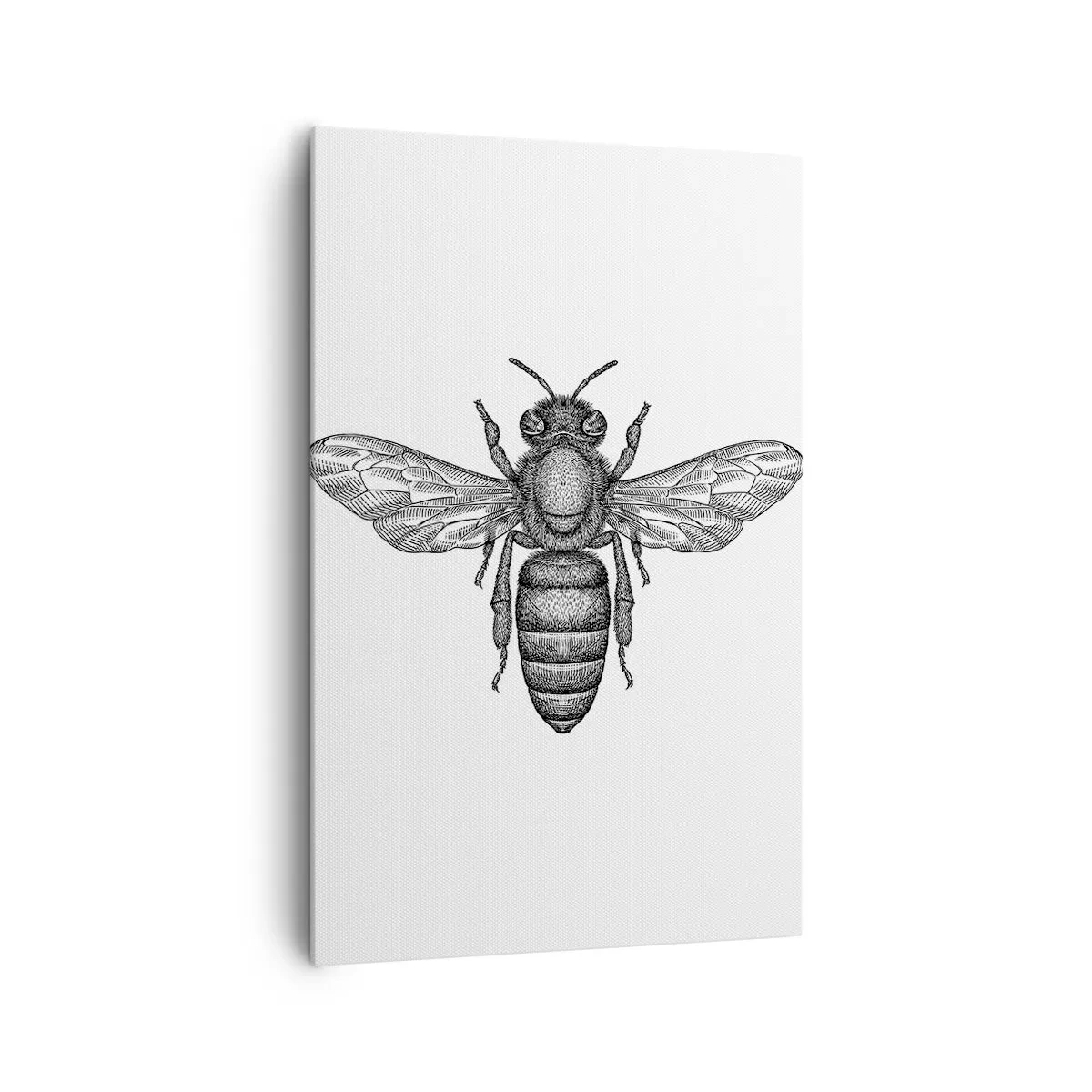 Schilderen op canvas - Insectenportret - 80x120 cm