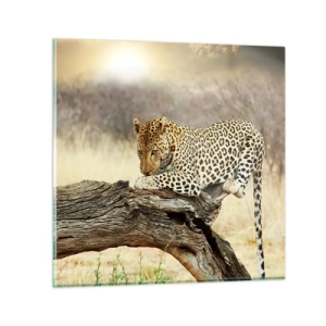 Schilderen op glas - Ik ga mijn eigen weg - 30x30 cm