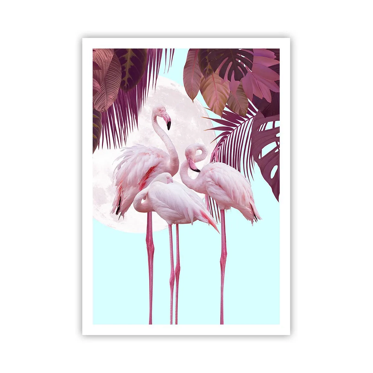 Poster - Drie vogel genaden - 70x100 cm