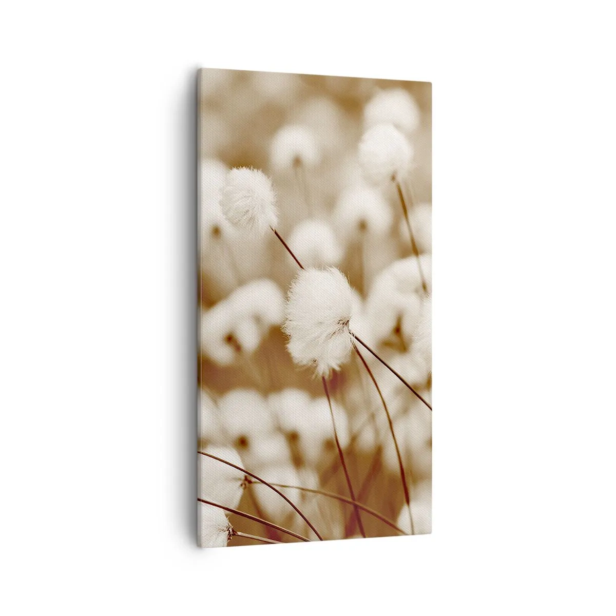 Schilderen op canvas - Pluizig korenveld - 55x100 cm