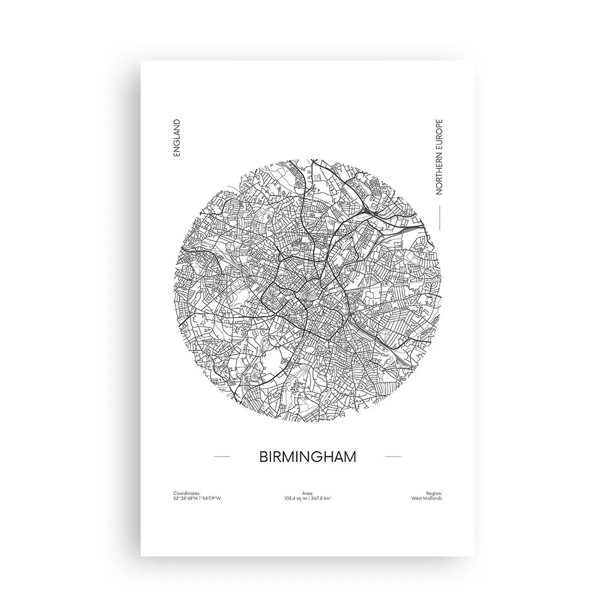 Poster - Anatomie van Birmingham - 61x91 cm