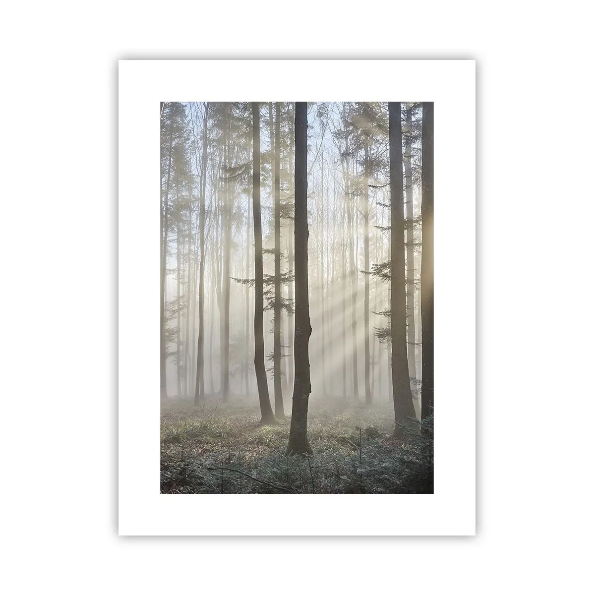 Poster - De mist werd ook wakker - 30x40 cm