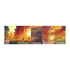 Fotobehang Monster Premium Canvas - Rood is mooi - Landschap, Park, Natuur - 100x30 cm
