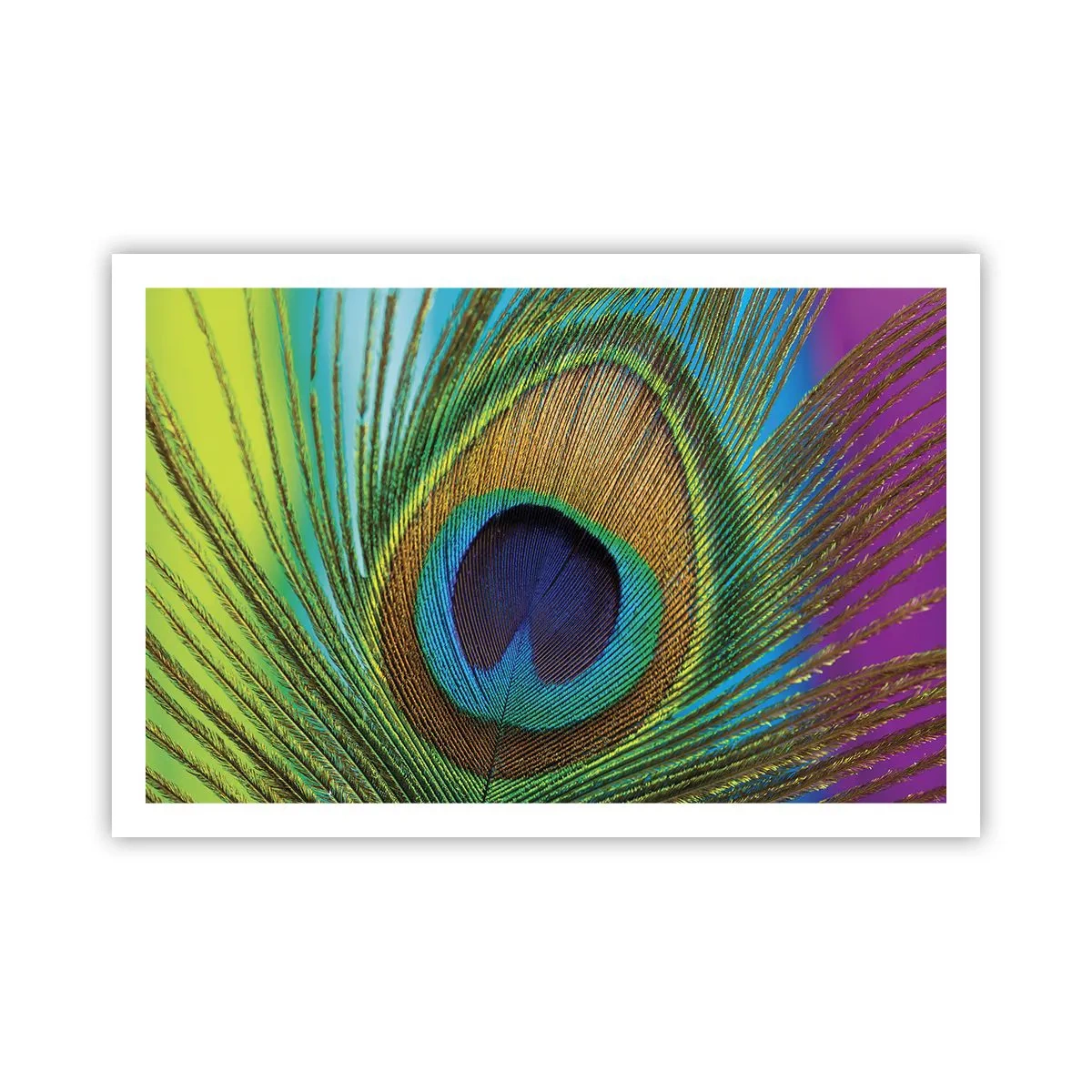 Poster - Oog in oog - 91x61 cm
