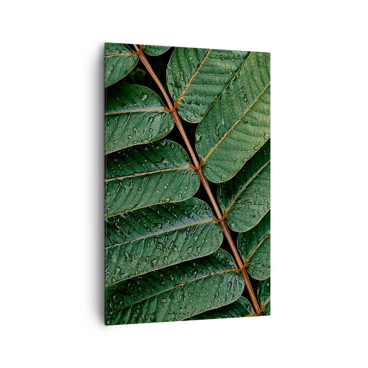 Schilderen op canvas - In een groen ritme - 80x120 cm