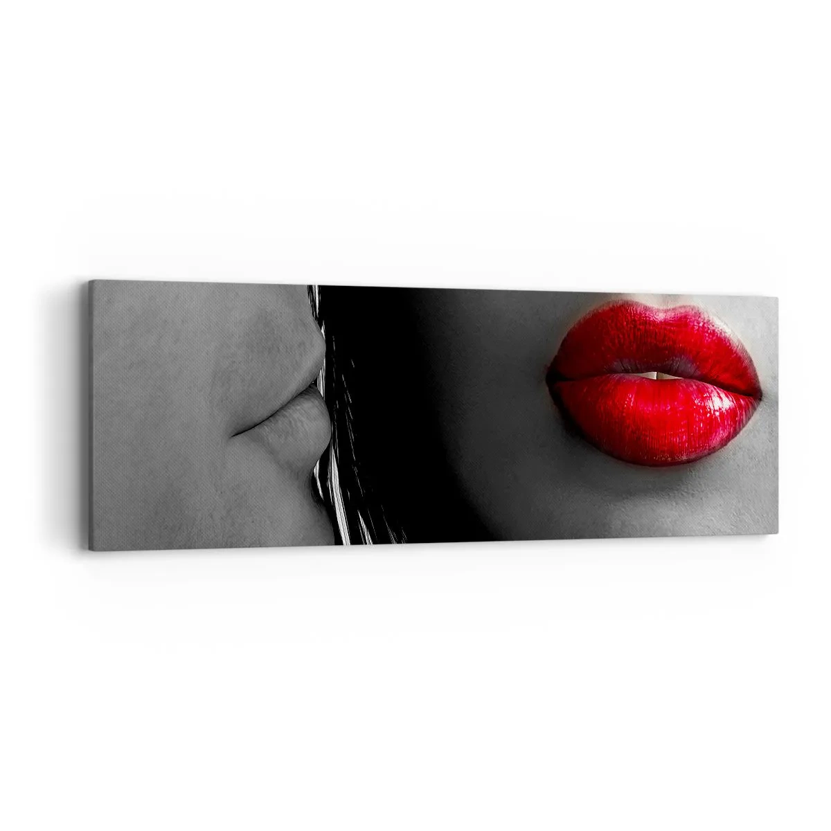 Schilderen op canvas - Oog in oog - 90x30 cm