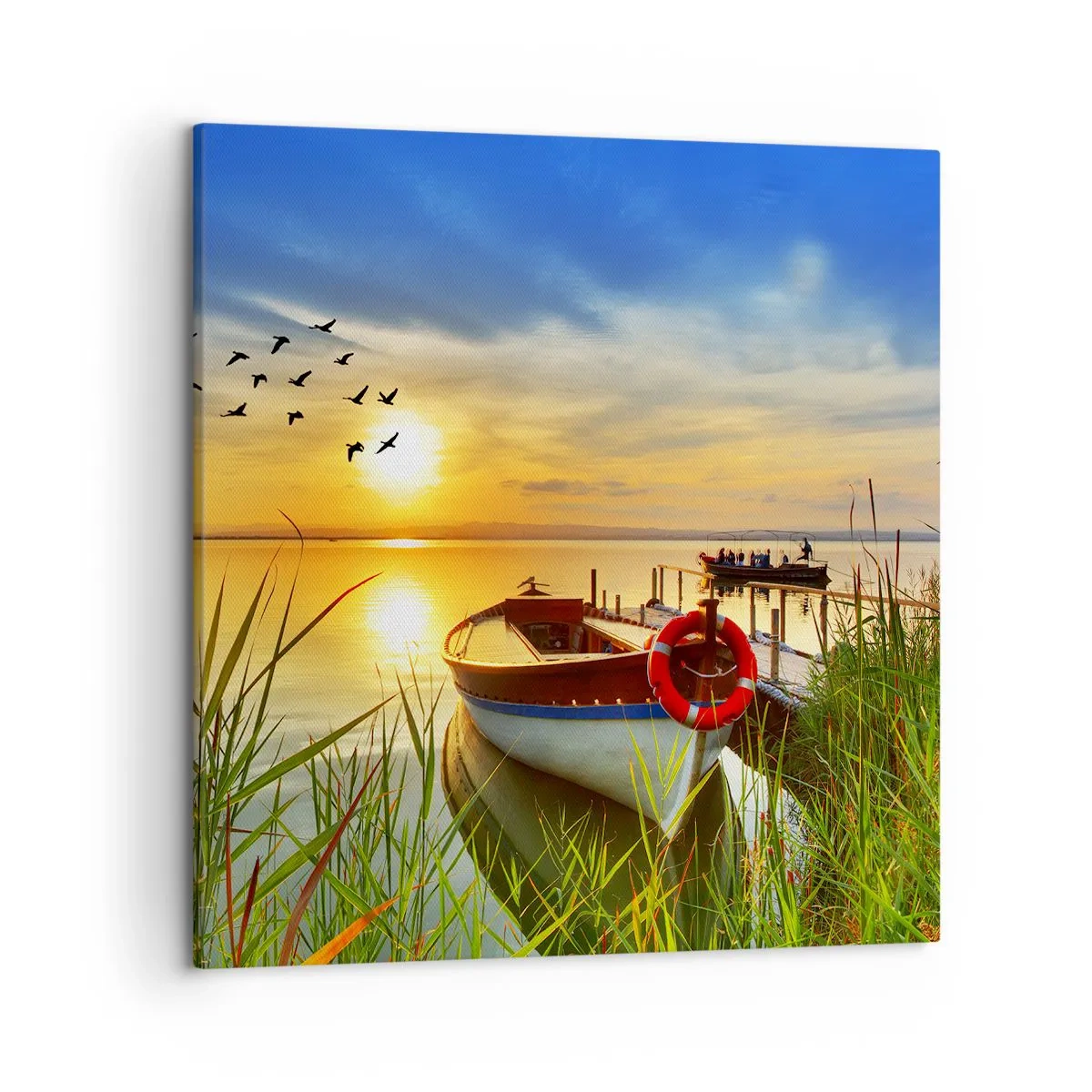 Schilderen op canvas - De aalscholvers vliegen al weg - 50x50 cm