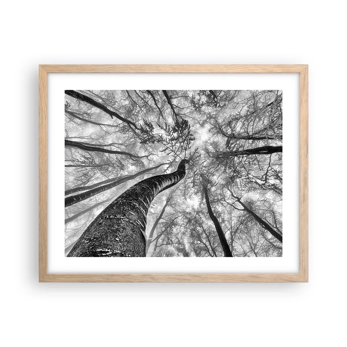 Een poster in een licht eiken lijst - Race naar het licht - 50x40 cm