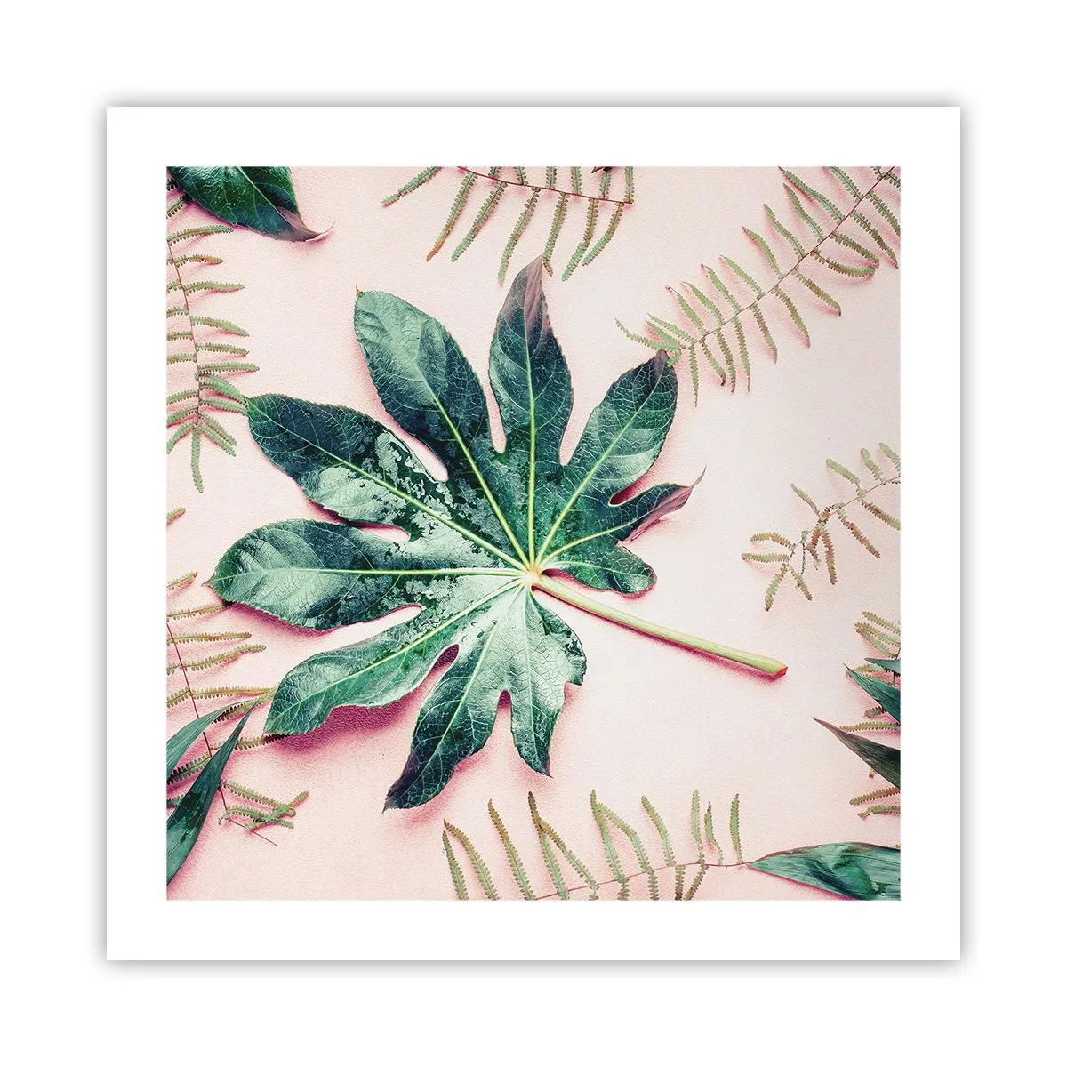 Poster - Een studie van groen op een roze achtergrond - 50x50 cm