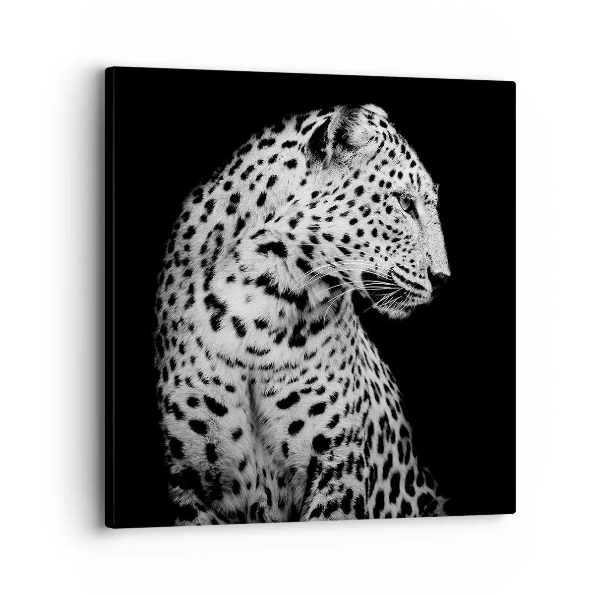 Schilderen op canvas - Juist profiel perfect! - 30x30 cm