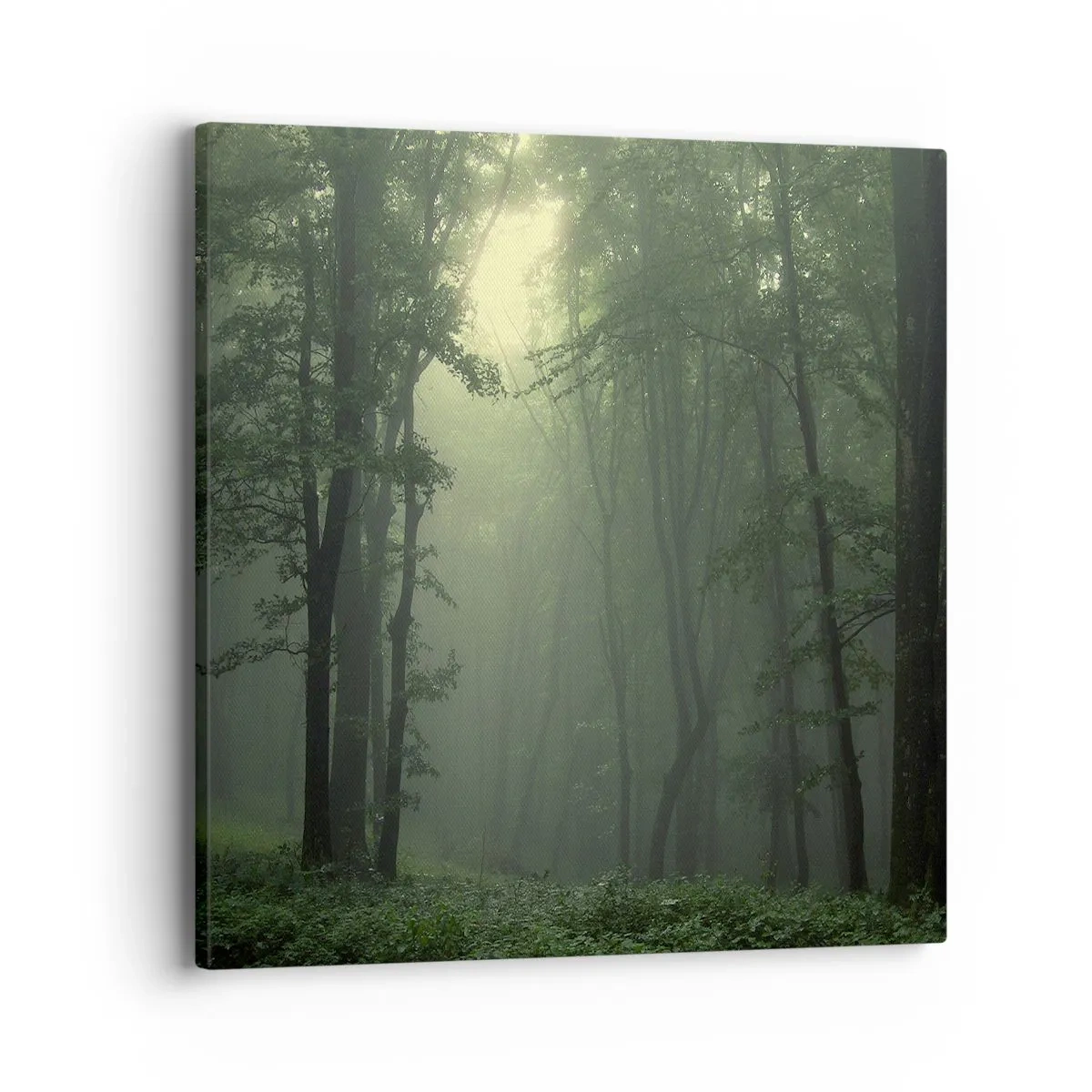 Schilderen op canvas - Voordat hij wakker wordt - 40x40 cm