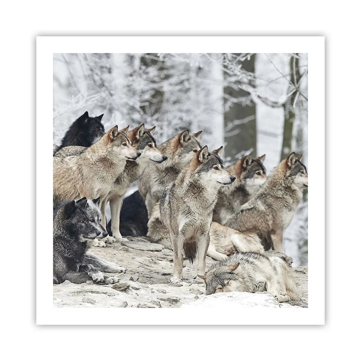 Poster - Familie en vrienden - 60x60 cm