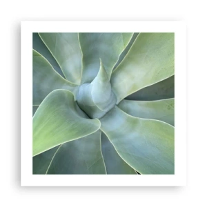 Poster - De geboorte van groen - 50x50 cm