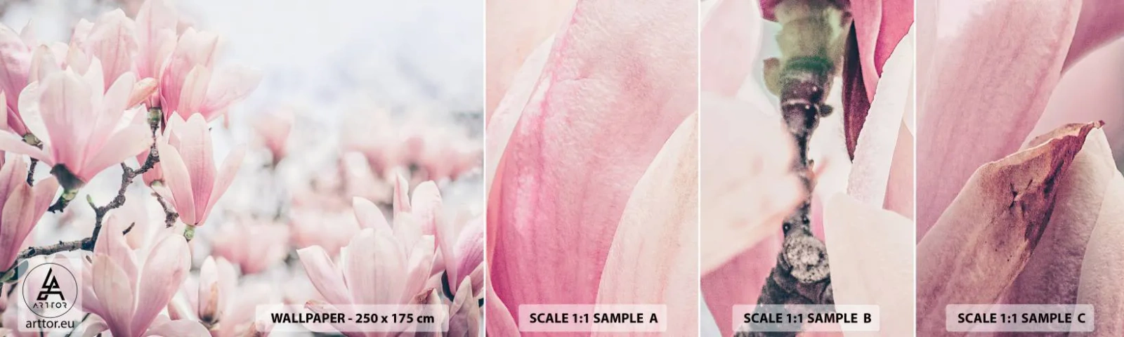 Fotobehang Staaltje Standard Eco - Het ideaal van subtiliteit - Magnolia, Bloemen, Magnoliaboom - 100x30 cm