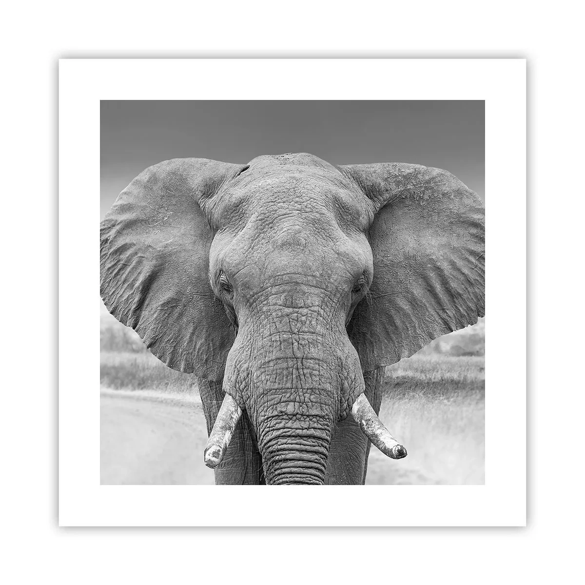 Poster - Welkom in mijn wereld - 40x40 cm