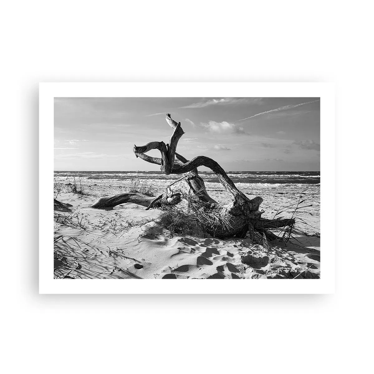 Poster - Zee sculptuur - 70x50 cm