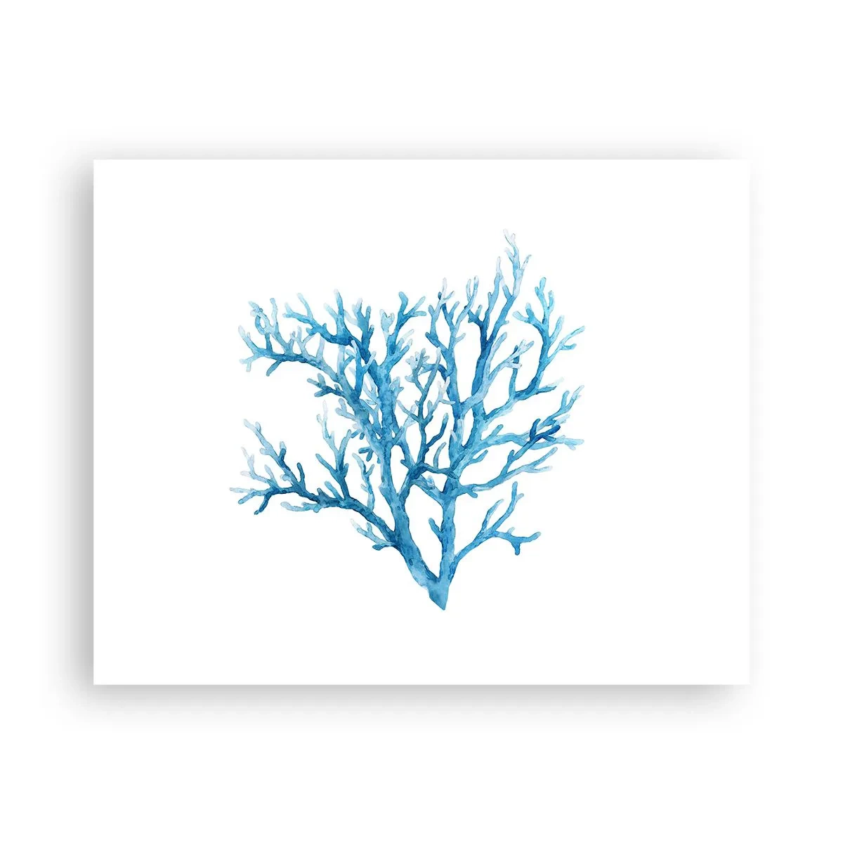 Poster - Nautische filigraan - 50x40 cm