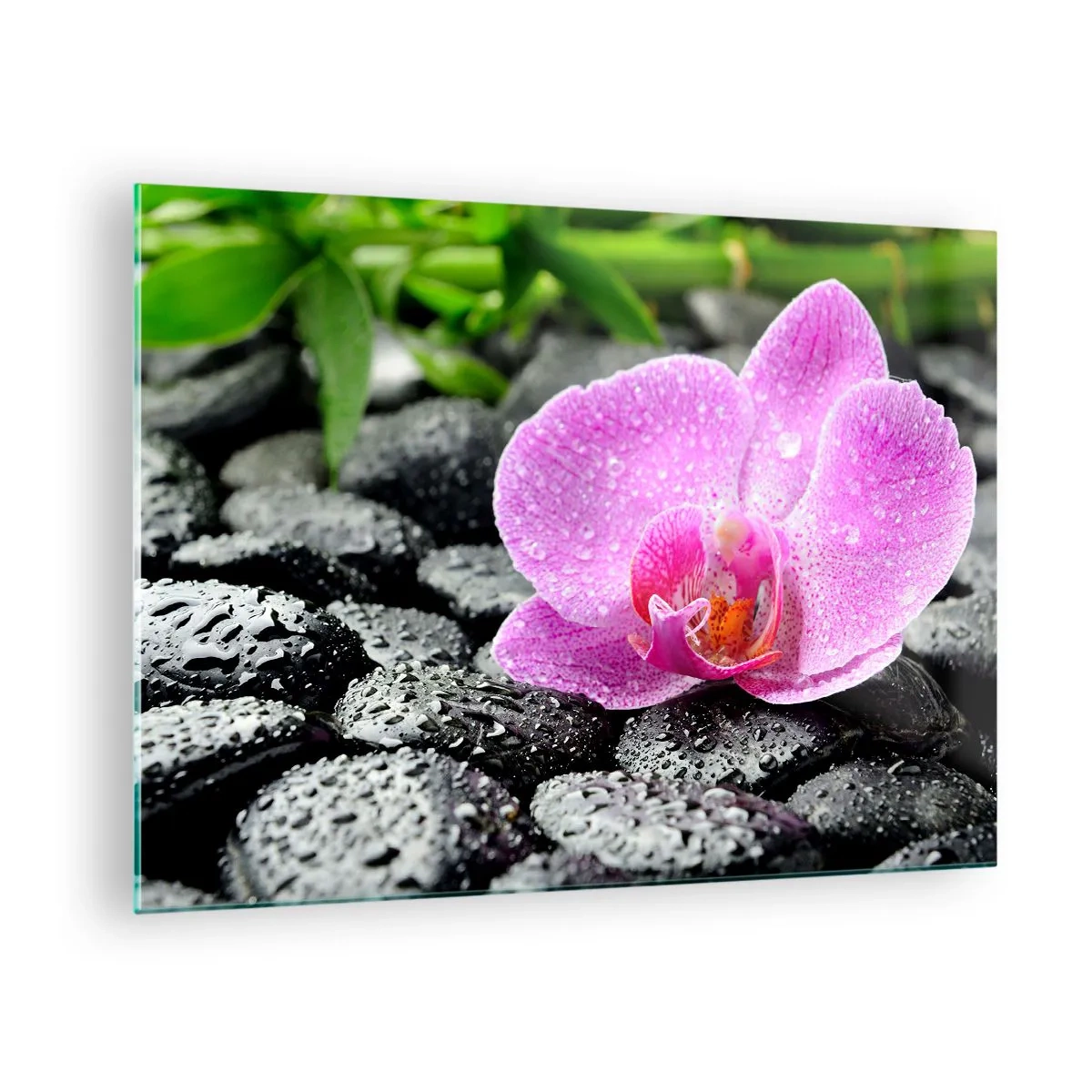 Schilderen op glas - Roze orchideeënbloem op natte zwarte stenen - 70x50cm - Als een open hart - Moderne wanddecoratie voor woonkamer en slaapkamer ARTTOR