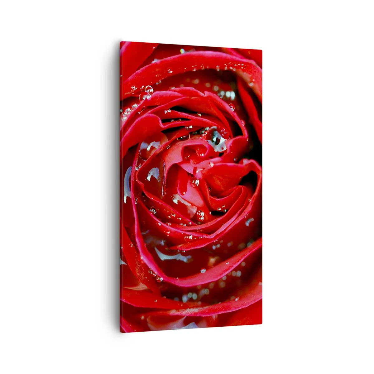 Schilderen op canvas - In de dauwdruppels - 55x100 cm