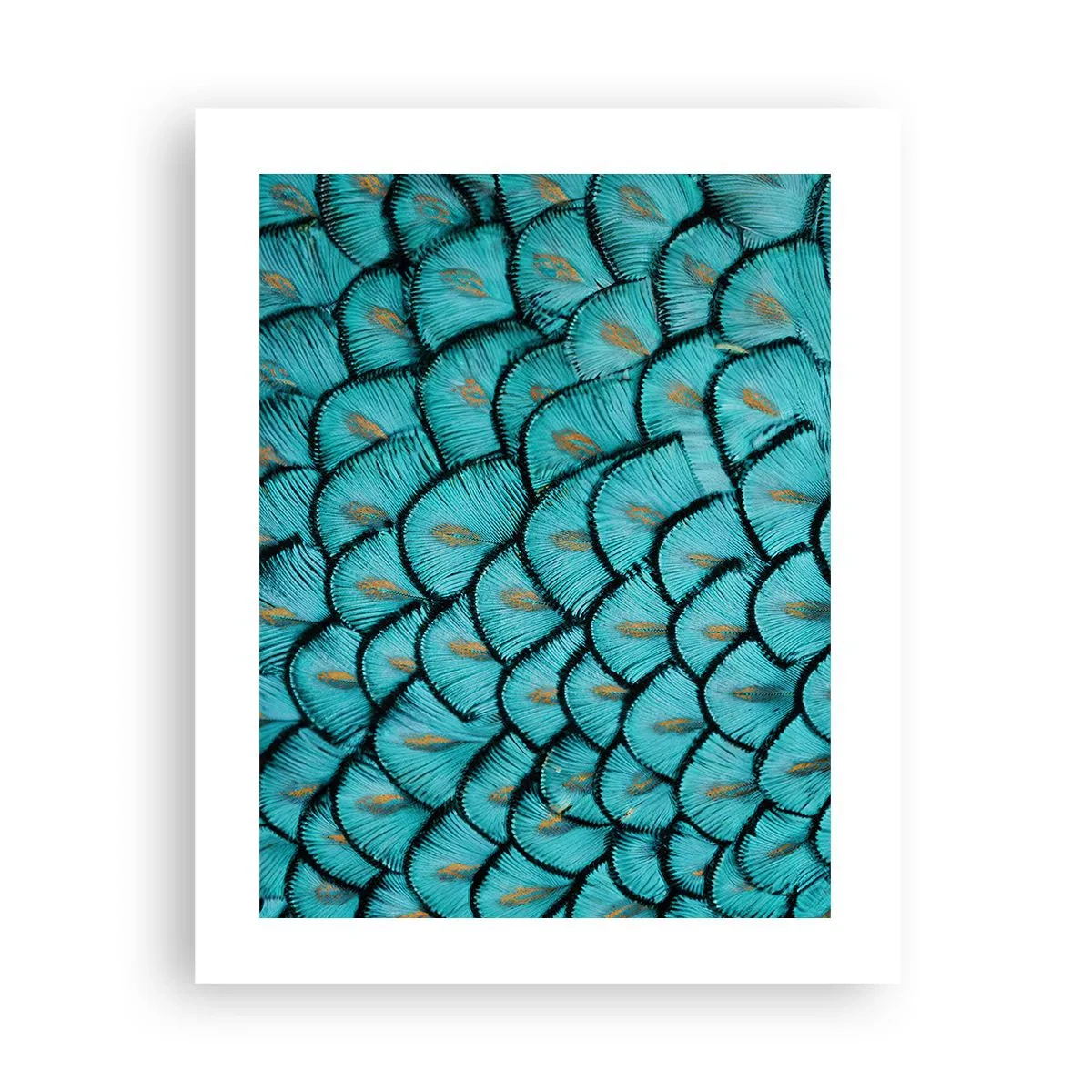Poster - Het grote verengala - 40x50 cm
