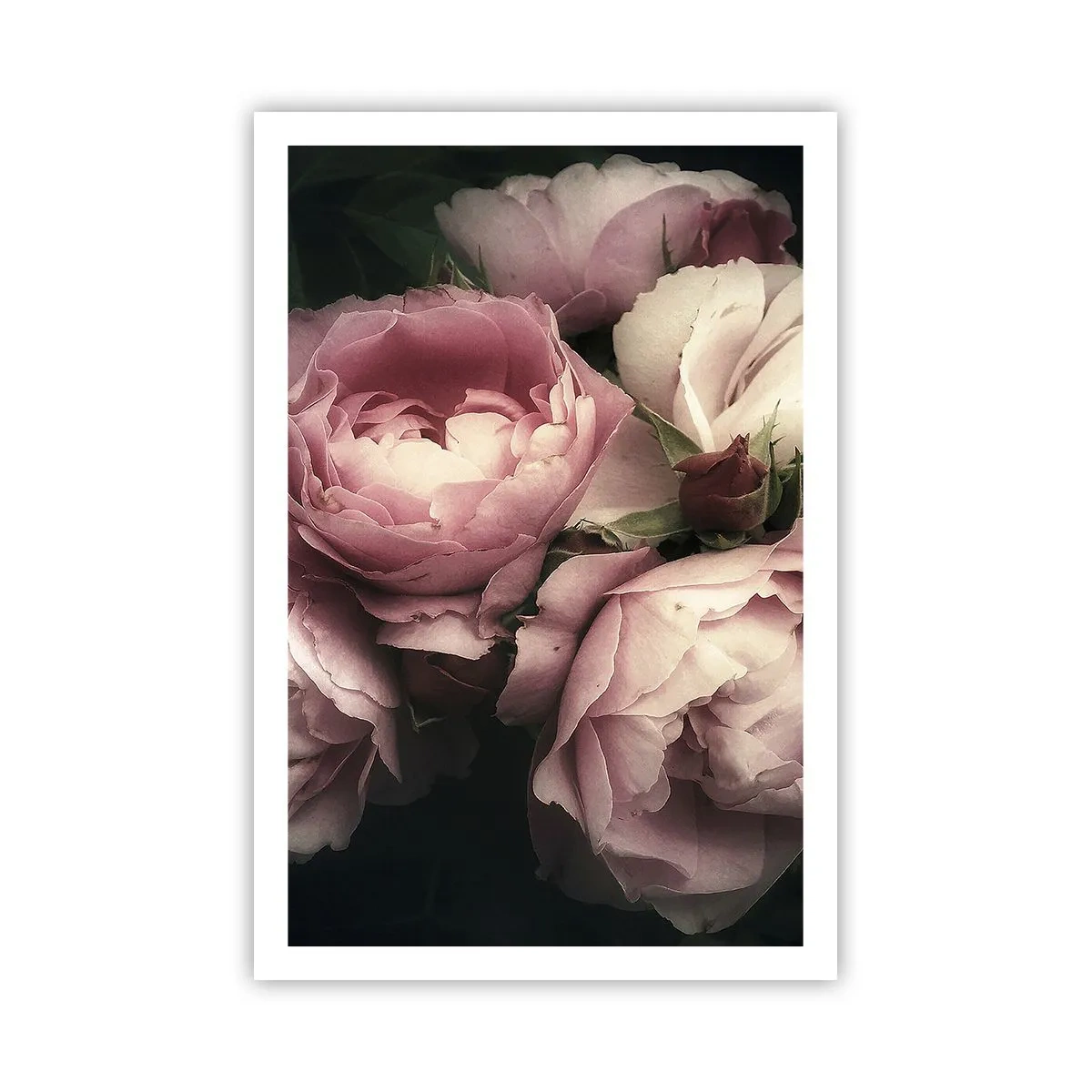 Poster - De charme van belle epoque - 61x91 cm