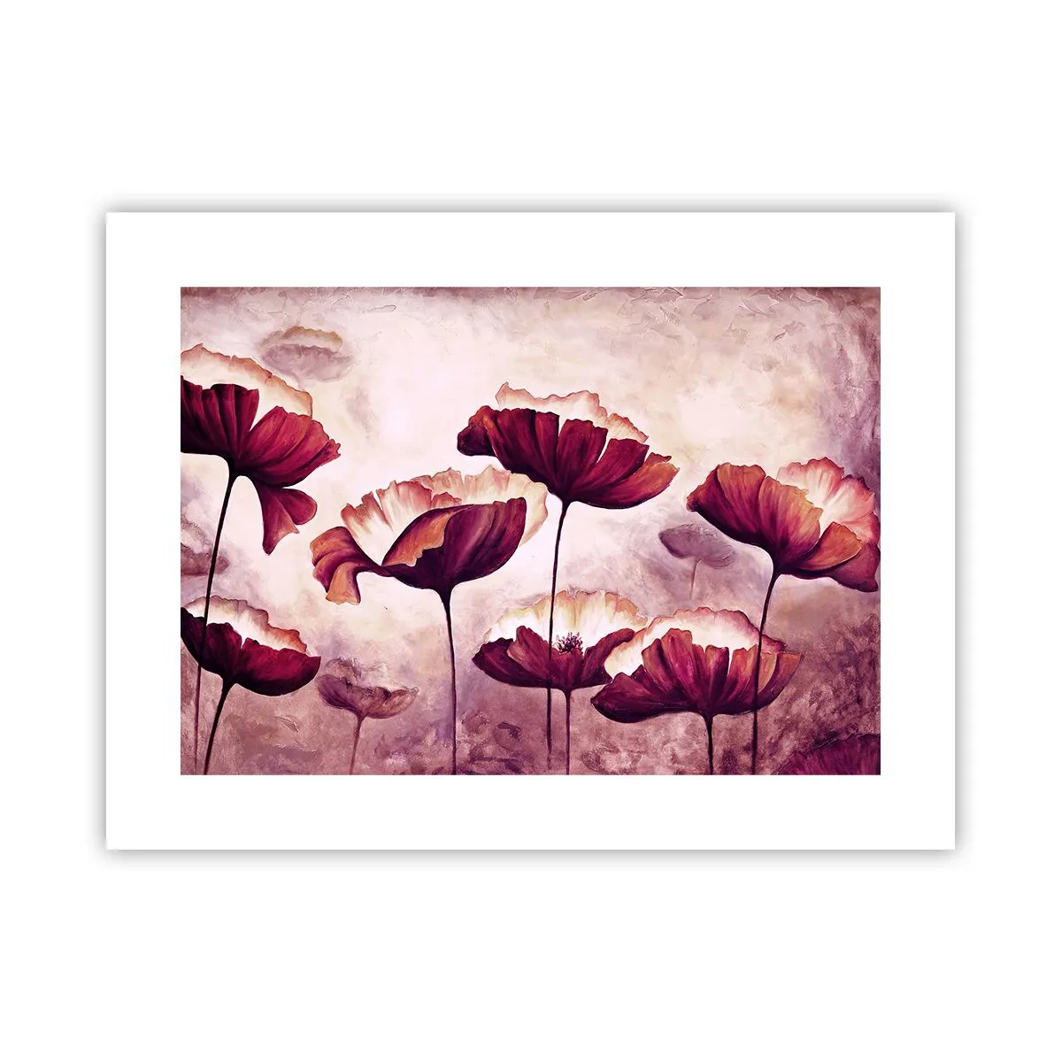 Poster - Rood en wit bloemblad - 40x30 cm