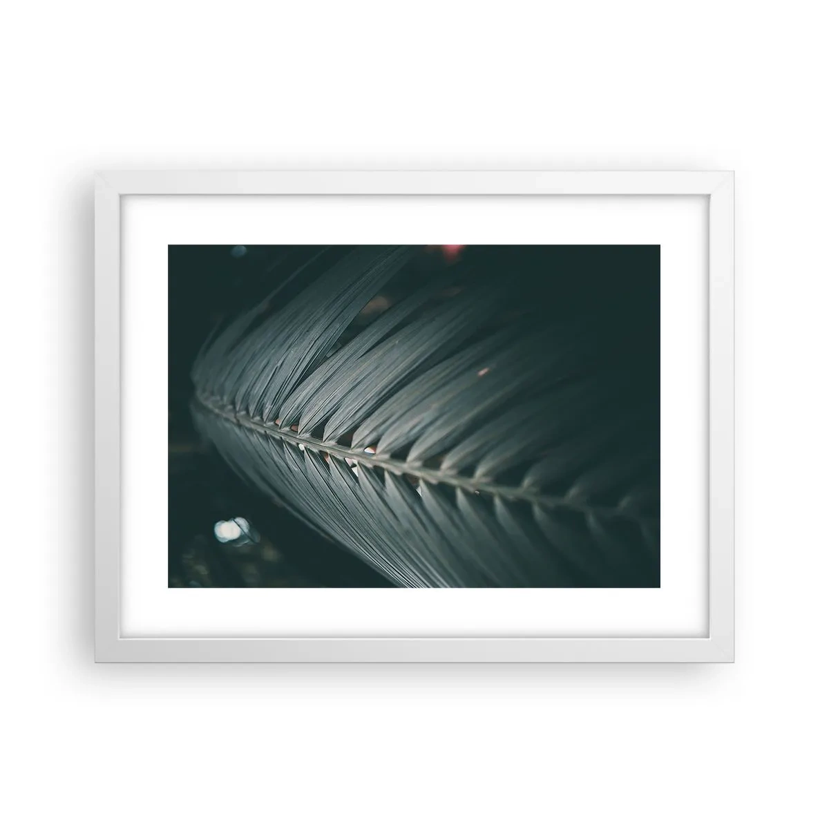 Poster in een witte lijst - De precisie van de natuur - 40x30 cm