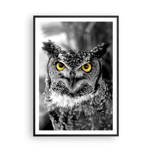 Poster in een zwarte lijst - Niets zal zich verbergen - 70x100 cm