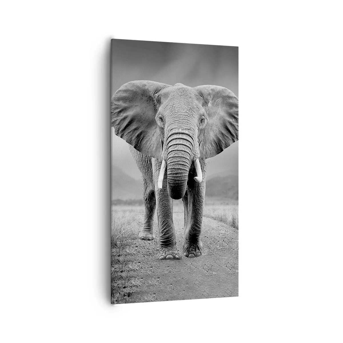 Schilderen op canvas - De gastheer heet je welkom - 65x120 cm