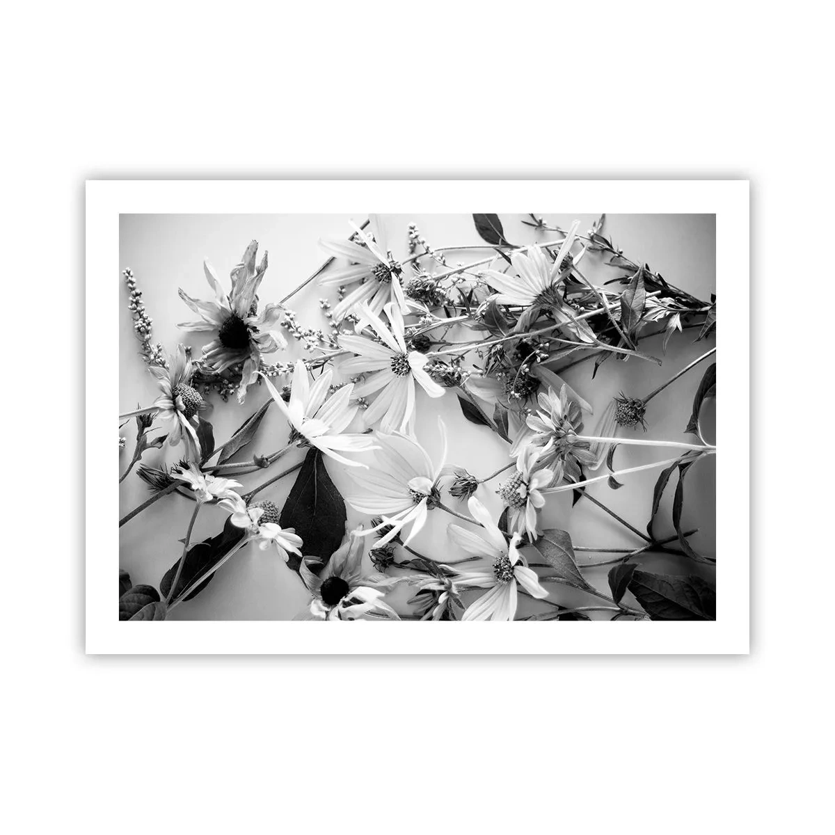 Poster - Niet-boeket bloemen - 70x50 cm