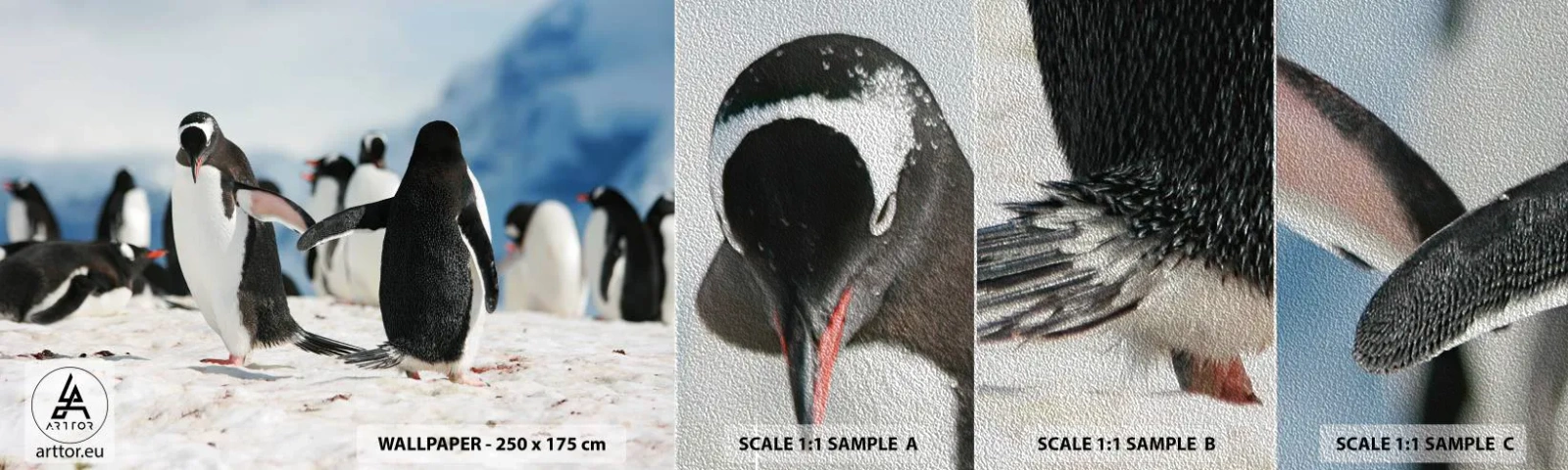 Fotobehang Monster Premium Sand - Dansen in de sneeuw - pinguïn, Antarctica, Landschap - 100x30 cm