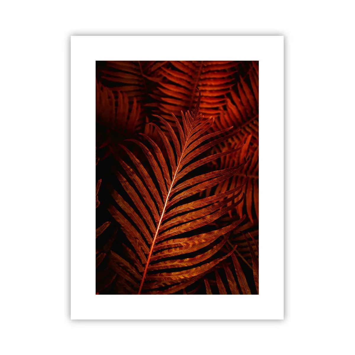 Poster - De hitte van het leven - 30x40 cm